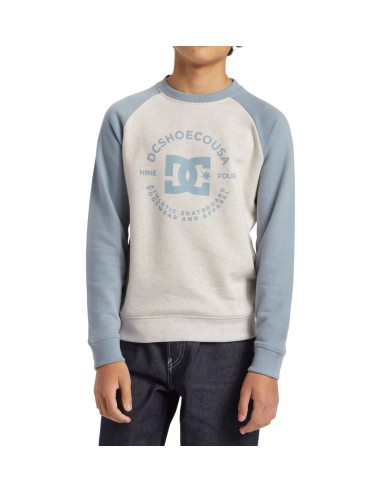 DC Shoes Kids DC Star Pilot Sweatshirt Pour