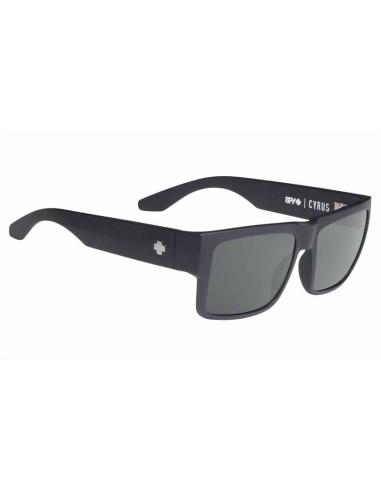 Cyrus Soft Matte Black / Grey Green Polar Sunglasses Livraison rapide