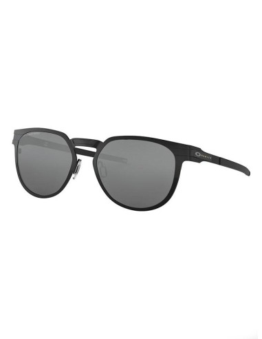 Diecutter Polarized Sunglasses est présent 