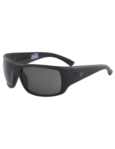 Vantage H2O Sunglasses Vous souhaitez 